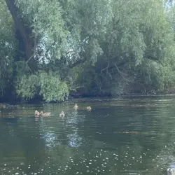 Danube Delta Biosphere Reserve - Tulcea