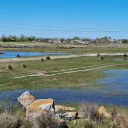 Danube Delta Biosphere Reserve - Tulcea