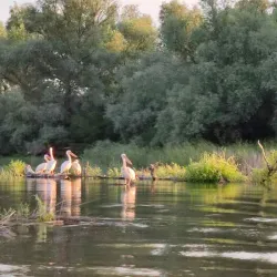 Danube Delta Biosphere Reserve - Tulcea