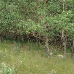 Danube Delta Biosphere Reserve - Tulcea