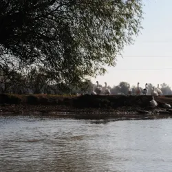 Danube Delta Biosphere Reserve - Tulcea