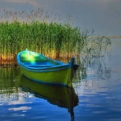 Danube Delta Biosphere Reserve - Tulcea