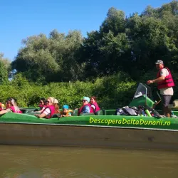 Eco-Tourism and Bird Watching Tours - Tulcea