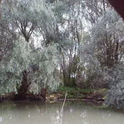 Eco-Tourism and Bird Watching Tours - Tulcea