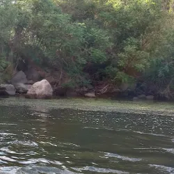 Eco-Tourism and Bird Watching Tours - Tulcea