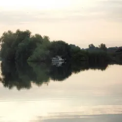 Eco-Tourism and Bird Watching Tours - Tulcea