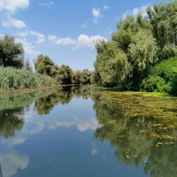 Eco-Tourism and Bird Watching Tours - Tulcea