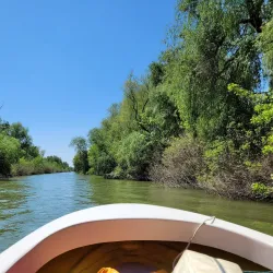 Eco-Tourism and Bird Watching Tours - Tulcea