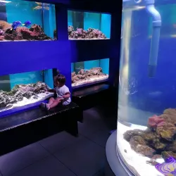 The Danube Delta Museum - Tulcea