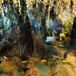 The Danube Delta Museum - Tulcea