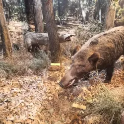 The Danube Delta Museum - Tulcea