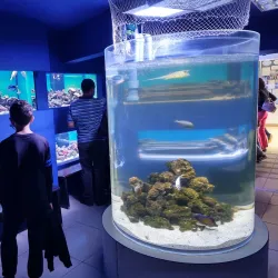 The Danube Delta Museum - Tulcea