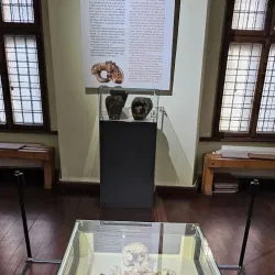 The Museum of History and Archaeology Turda - Turda