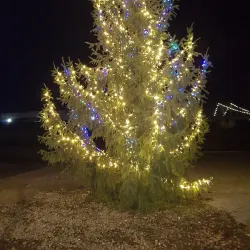 Turda City Park (Parcul Central) - Turda