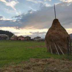 Dorna Arini Park - Vatra Dornei