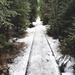Poiana Stampei Monastery - Vatra Dornei