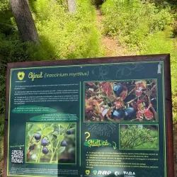 Poiana Stampei Monastery - Vatra Dornei