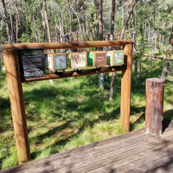 Poiana Stampei Monastery - Vatra Dornei