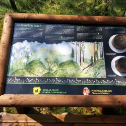 Poiana Stampei Monastery - Vatra Dornei