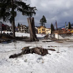 Ski Resort Vatra Dornei - Vatra Dornei