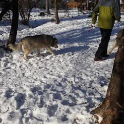 Ski Resort Vatra Dornei - Vatra Dornei