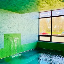 Vatra Dornei Spa and Wellness Center - Vatra Dornei