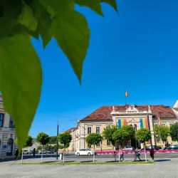 The Zalău City Hall - Zalau