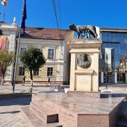 The Zalău City Hall - Zalau
