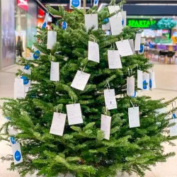 The Zalău Market - Zalau