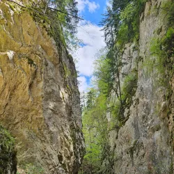 Cheile Zărneștiului (Zărnești Gorge) - Zărnești