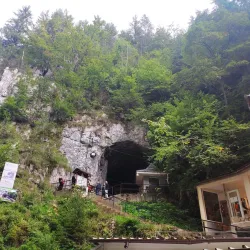 Dâmbovicioara Cave - Zărnești