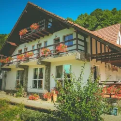 Piatra Craiului Mountains - Zărnești