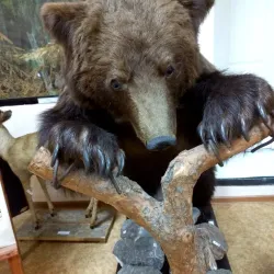 Abaza Local History Museum - Abaza