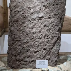 Khakass National Museum - Abaza