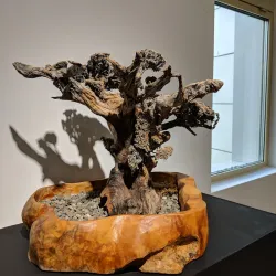 Khakass National Museum - Abaza