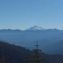 Nature Trails and Wildlife Watching - Abaza