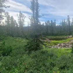 Sayan Mountains - Abaza