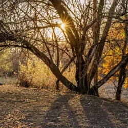 Volga River Embankment - Akhtubinsk