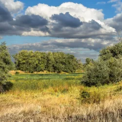 Volga River Embankment - Akhtubinsk