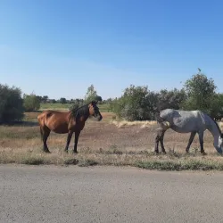 Volga River Embankment - Akhtubinsk