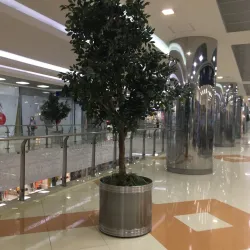 Alatyr Local Market - Alatyr