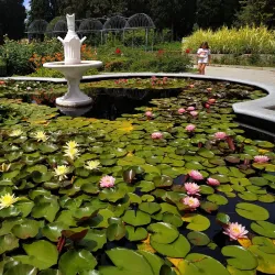 Alekseyevka Botanical Garden - Alekseyevka