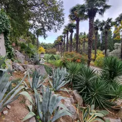 Alekseyevka Botanical Garden - Alekseyevka