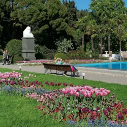 Alekseyevka Botanical Garden - Alekseyevka