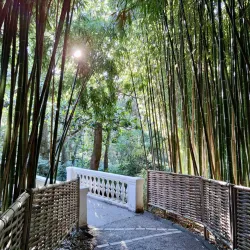 Alekseyevka Botanical Garden - Alekseyevka