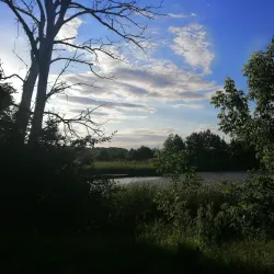 Riverbank Walks along the Vorskla River - Alekseyevka