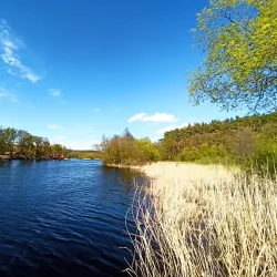 Riverbank Walks along the Vorskla River - Alekseyevka