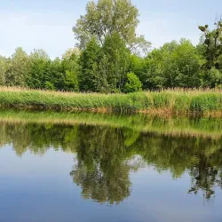 Riverbank Walks along the Vorskla River - Alekseyevka