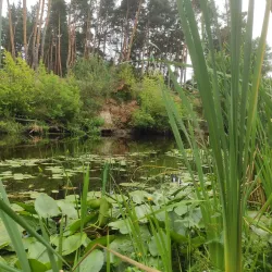 Riverbank Walks along the Vorskla River - Alekseyevka