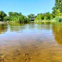 Riverbank Walks along the Vorskla River - Alekseyevka